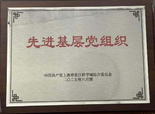 48-中国共产党上海mile·米乐m6照明联合会支部委员会荣获 2025 先进基层党组织称号